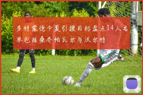 多特蒙德今夏引援目标盘点14人名单包括桑乔帕瓦尔与沃尔特