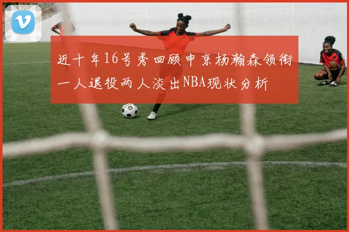 近十年16号秀回顾申京杨瀚森领衔一人退役两人淡出NBA现状分析