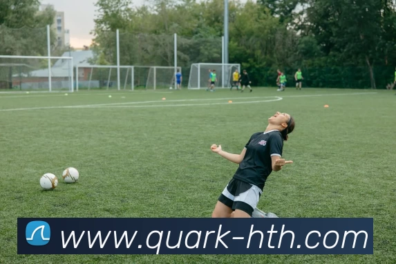 华体会平台生态图